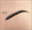  캰
